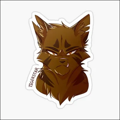 Quel est le nom de ce chat à l'air mauvais ?