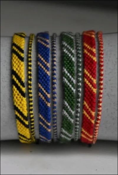 Dans quelle maison es-tu ?