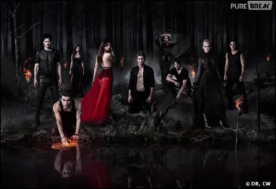 Qui était le premier amour de Damon ?