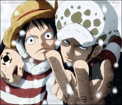 Pour quelle raison Luffy et Law font-ils une alliance ?