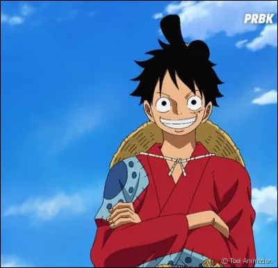 Quelle est la prime de Luffy lorsqu'il arrive &agrave; Wano ?