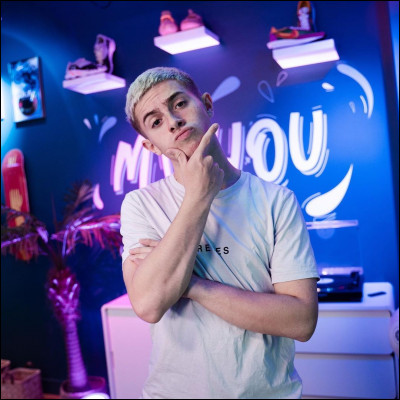 Sa marque préférée de chaussures est :