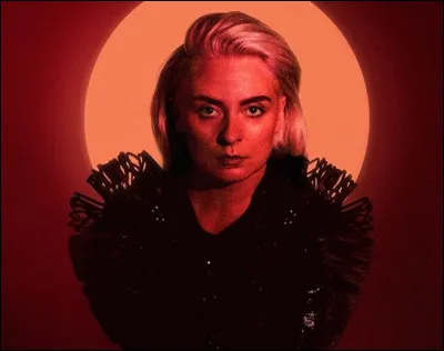 Complétez : 
"Tøld eg fylgi..."