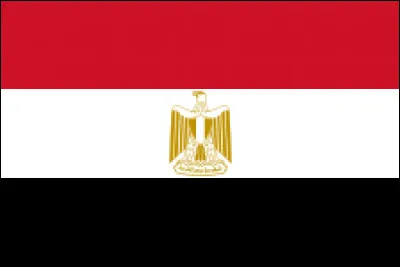 On termine ce quiz plutôt compliqué avec un drapeau un peu plus simple. Quel est ce pays ?