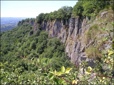 Où peut-on voir un flipot ?