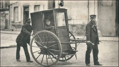 L'oxère est une plante de la Nouvelle-Calédonie. Quelle est son étymologie, d'origine grecque ?