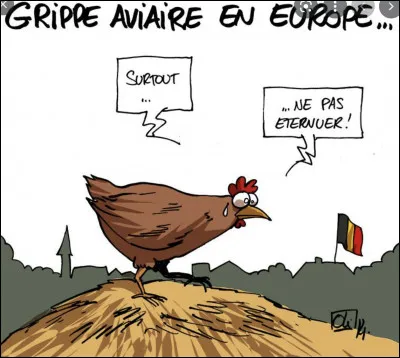 En t'aidant du nom "avis, avis", que serait "l'aviculture" ?