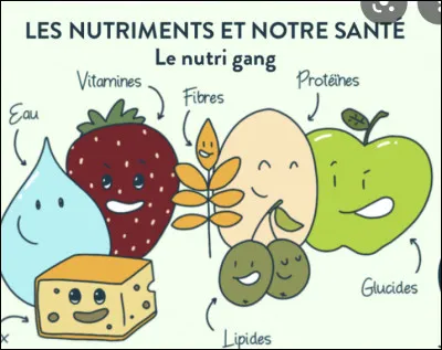 En t'aidant du verbe "nutrire", que serait une "d&eacute;nutrition" ?