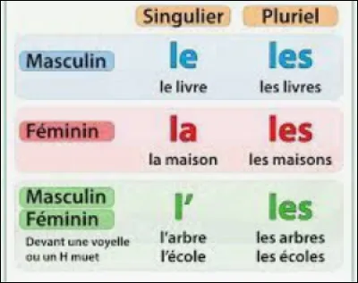 Après "Harry Potter et..." (ou "Harry Potter à..." pour ''Harry Potter à l'école des sorciers''), quel article défini y a-t-il ?