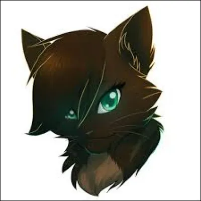 Ton pelage est plutôt :