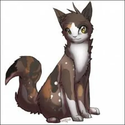 Et pour finir, quel pelage aimerais-tu avoir ?