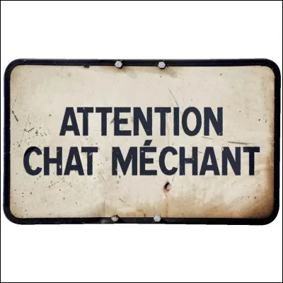 Quelles étaient les deux catégories de guerriers dans le clan du Vent anciennement ?