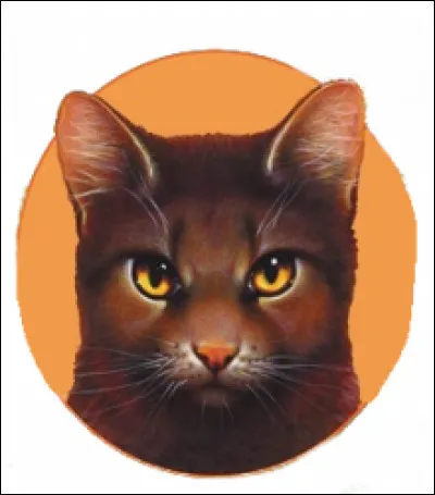 Qui a fondé le clan du Vent ?