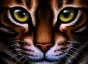 Quiz LGDC : toile du Tigre