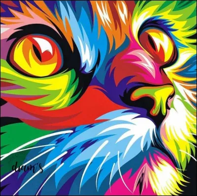 Et enfin, quelle est cette belle couleur ?