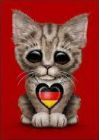 Comment dit-on "chat" en allemand ?