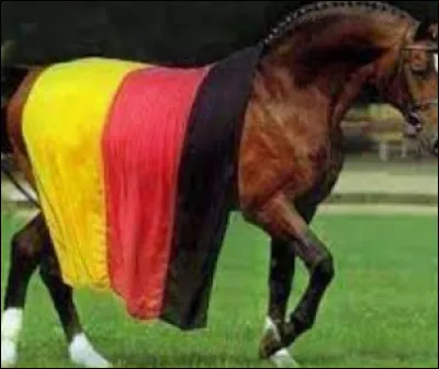 Comment dit-on "cheval" en allemand ?