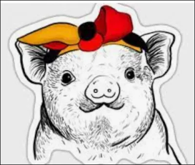 Comment dit-on "cochon" en allemand ?