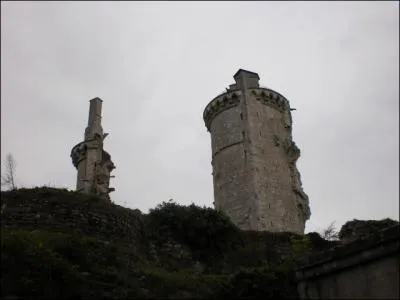 O se trouvent les tours jumelles de Vauvinsie ?