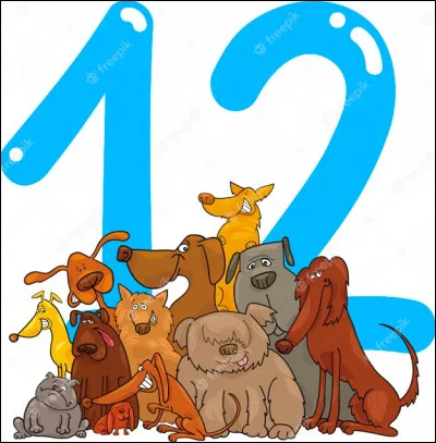 Au restaurant, si 12 pizzas valent 144 euros, combien valent 15 pizzas ?