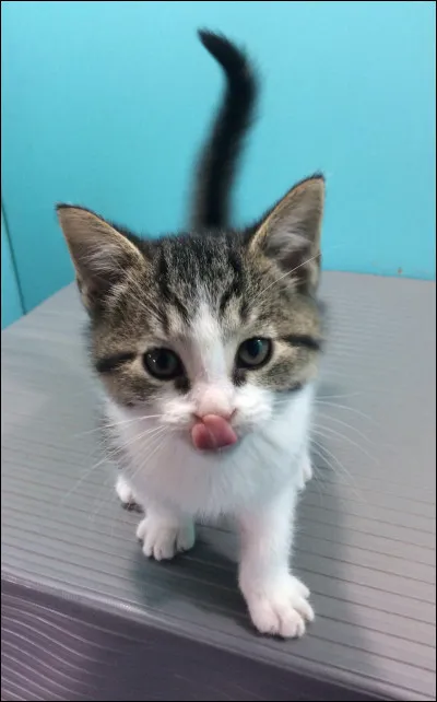 Quand il n'y a personne, c'est :