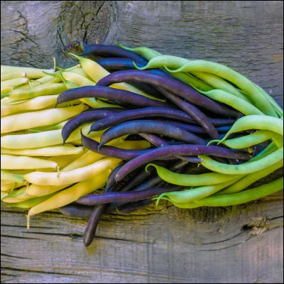 Quels haricots les Anglais appellent-ils "haricots français" ?