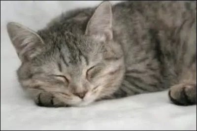 Quels sont tes activités et tes coins préférés ? Je suis sûre que tu as quelques petits points faibles sur certains !