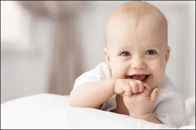 Tu apprends que ton maître et ta maîtresse attendent un enfant. Comment réagis-tu ?