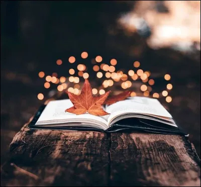 Qui a écrit "La Fin de la nuit" ?