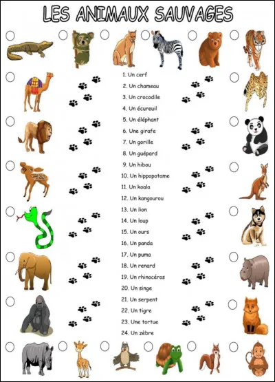 Quel est ton animal préféré ?