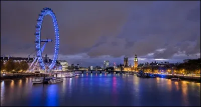 Sur quel fleuve est organisée la plus grande course d'aviron du monde ?