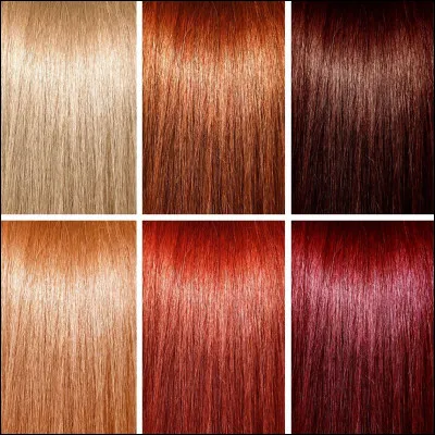 De quelle couleur sont tes cheveux ?