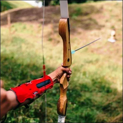 Quel arbre d&eacute;coratif toxique produit un bois consid&eacute;r&eacute; comme le meilleur pour fabriquer des arcs ?