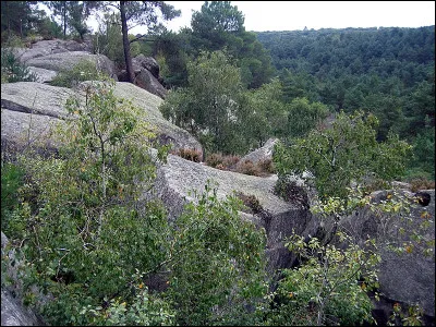D'après les spectateurs quel est le meilleur film du monde ?