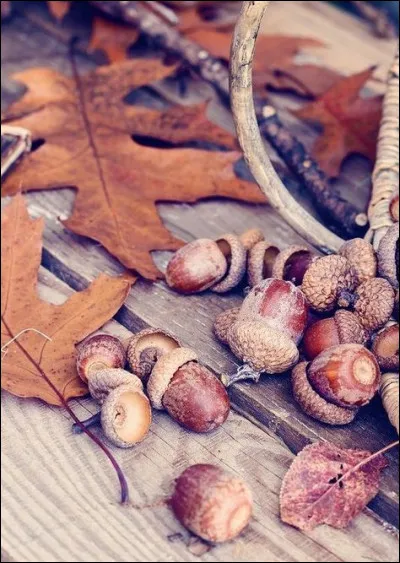 Qu'arrive-t-il à William McKinley, en septembre 1901 ?