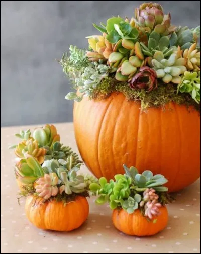 L'université d'Harvard a été fondée en septembre 1636 ; dans quelle ville cette université est-elle située ?