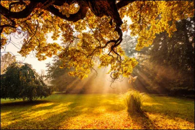 La ville de Los Angeles est fondée en septembre 1781. Dans quel Etat américain est-elle située ?