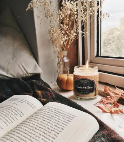 Quel traité signé en septembre 1905 met fin à la guerre russo-japonaise ?