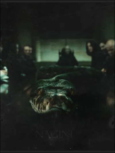 Qui a tué Nagini ?