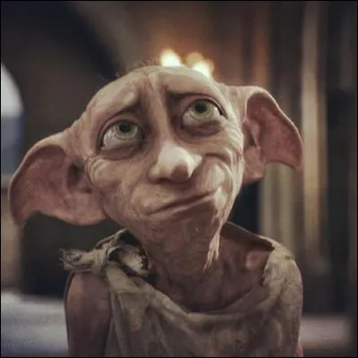 Qui a tué Dobby ?