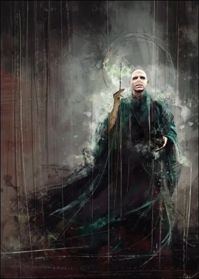 Qui a tué Voldemort ?