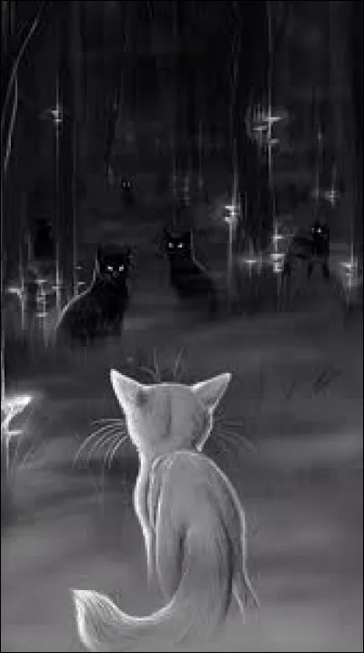 Que pensez-vous du code du guerrier ou du guérisseur ?