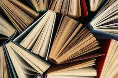 Selon toi, quel est l'endroit idéal pour une séance de lecture ?