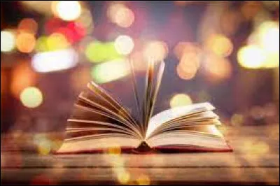 Es-tu capable de finir un livre de 300 pages sans image en une journée ?