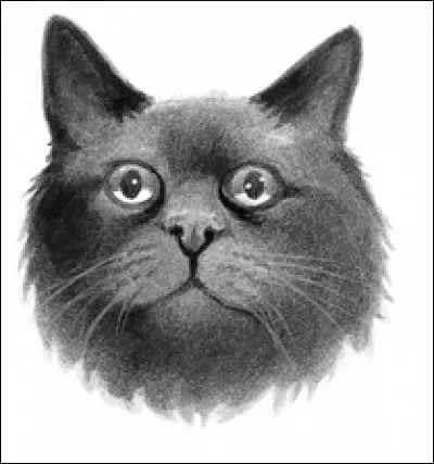 "Vous devez être sacrément courageux pour approcher de mon territoire. Peu sont les bienvenus, par ici, dans notre monde de secrets et de ténèbres. Nous sommes le Clan de la ruse et de l'intelligence, un clan taillé pour les ombres et le vent froid du nord. Aucun autre clan ne peut emprunter les chemins de nuit comme nous." Qui a prononcé ces paroles à propos du Clan de l'Ombre ?