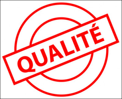 Quelle est ta principale qualité ?