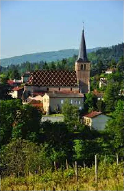 Nous sommes en Auvergne-Rhône-Alpes, à Saint-André-d'Apchon. Commune de l'agglomération Roannaise, elle se situe dans le département ...