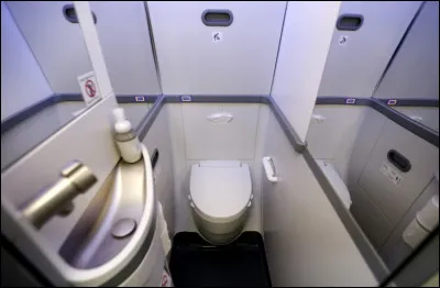 Présents à de multiples endroits de l'avion, ce sont...