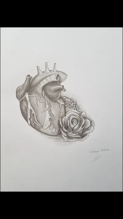 Aimerais-tu faire un métier dans le domaine de l'art ?