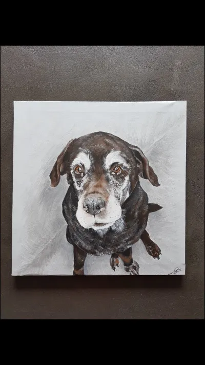 As-tu déjà essayé la peinture ?